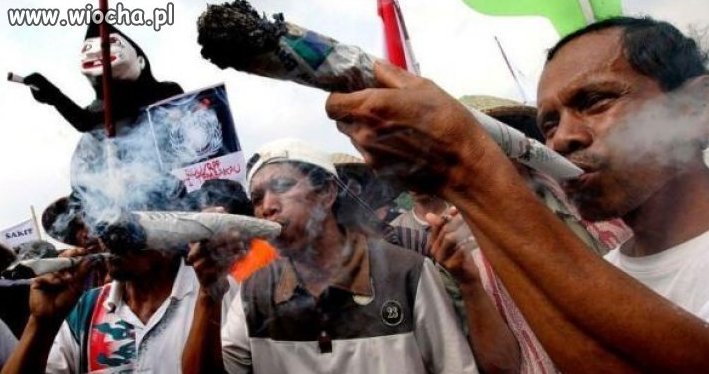 BIG JOINT!!