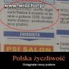 Polska, to bardzo zyczliwy kraj.
