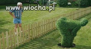 Coś nie tak sąsiedzie???