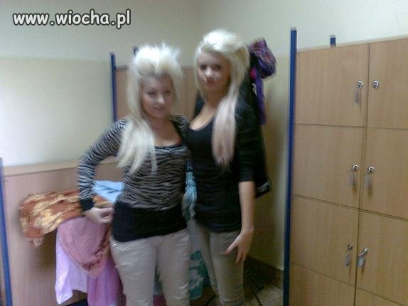 Miotła
