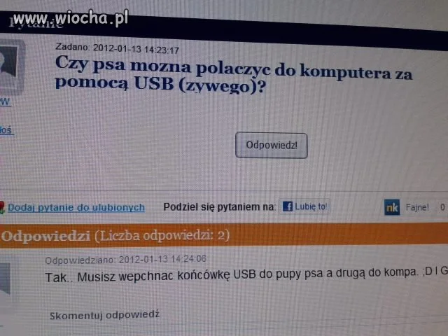 Szczyt debilstwa!