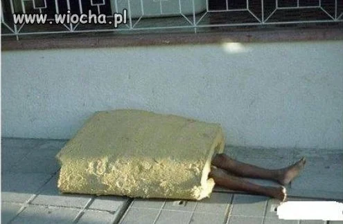 Pan gąbka