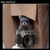 Fotoszop