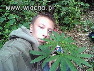 Znalezione na nk