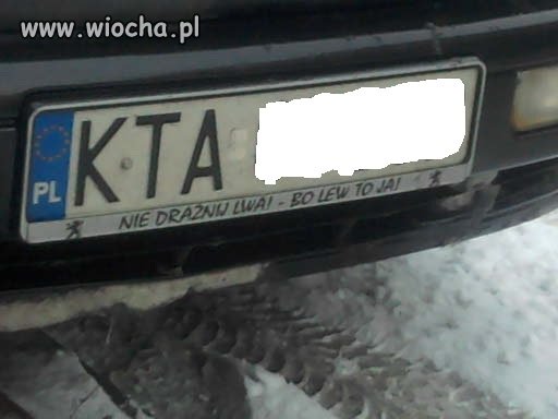 Nie drażnij lwa! Bo lew to ja