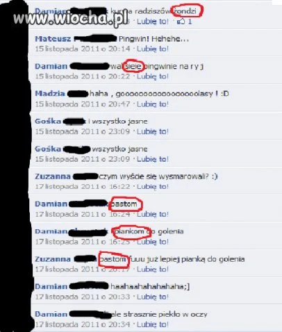 Brak ortografii.