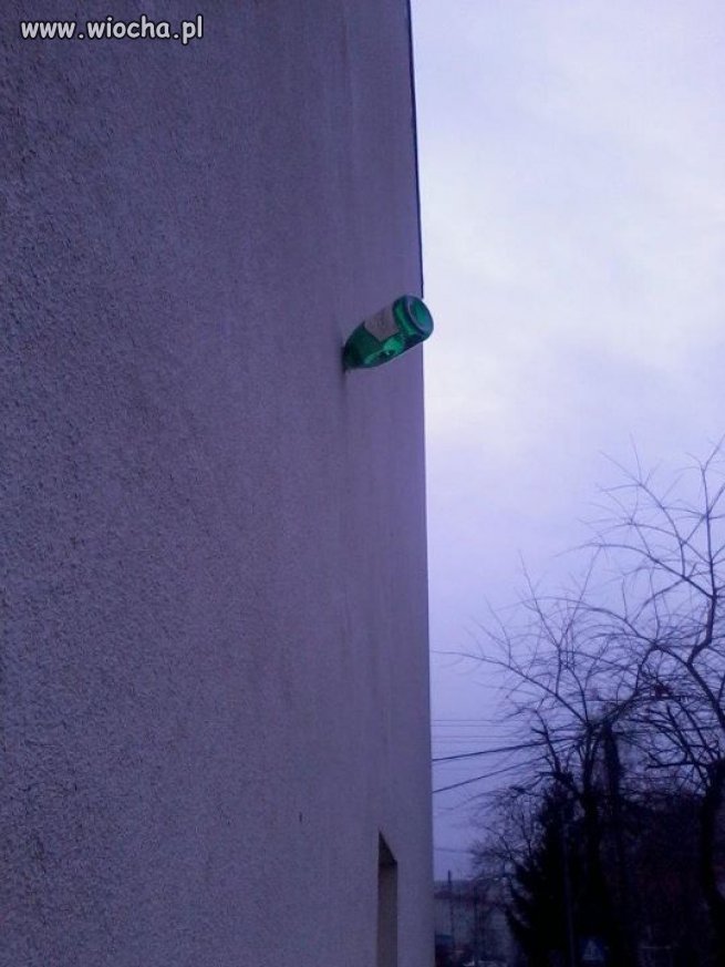 Z serii polak potrafi 