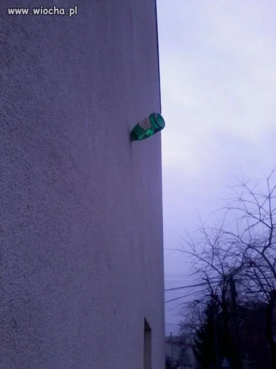 Z serii polak potrafi 