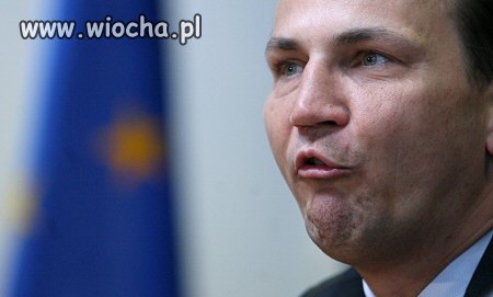 Dzióbek al a polityk