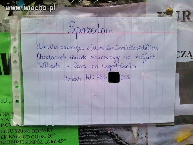 Król ortografii z Wręczycy 