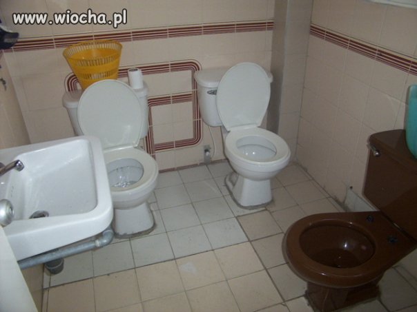 W towarzystwie