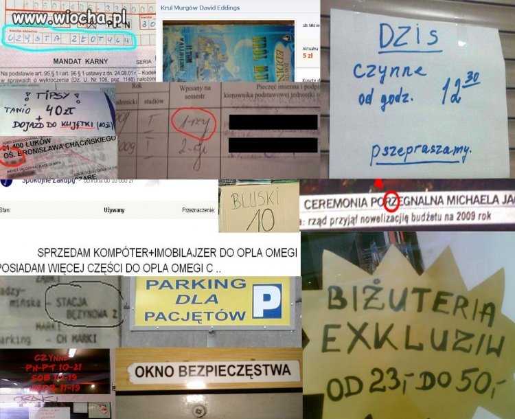 Poprawność ortograficzna