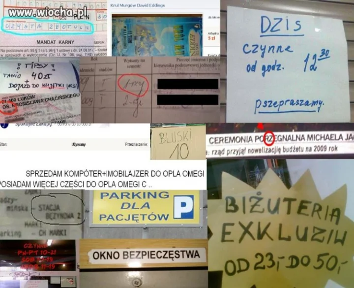 Poprawność ortograficzna