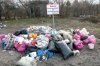 Śmiecenie w lesie. Polska rzeczywistość