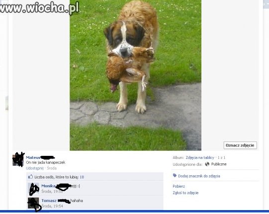 Jak można dodać to dla żartów? Totalna znieczulica