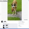 Jak można dodać to dla żartów? Totalna znieczulica