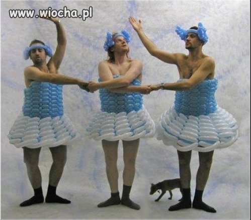 Jezioro łabedzie