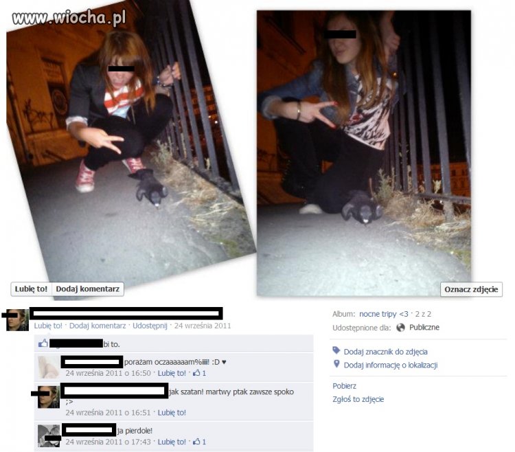 Martwy ptak zawsze spoko.