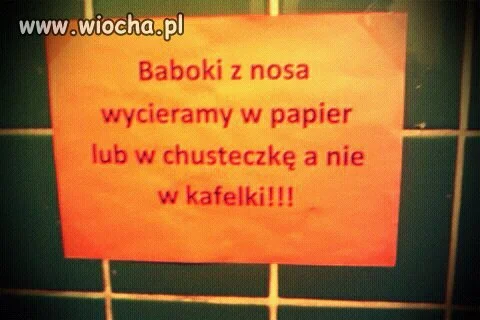 Kultura w toalecie