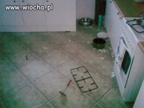Czyściutko mają w kuchni