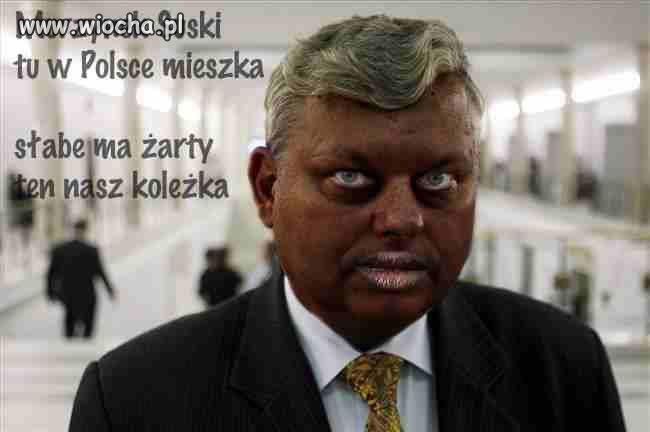 Murzynek Suski