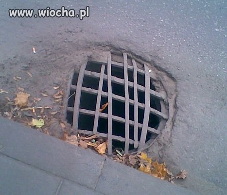 Fachowo i artystycznie