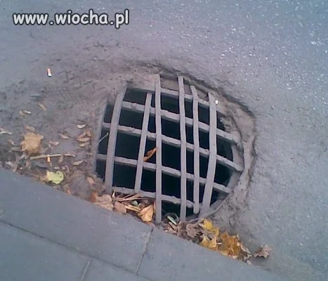 Fachowo i artystycznie