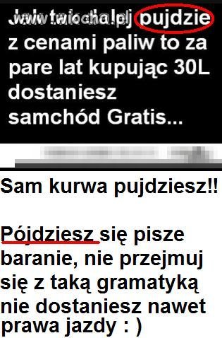 Polskie dzieci w internecie...