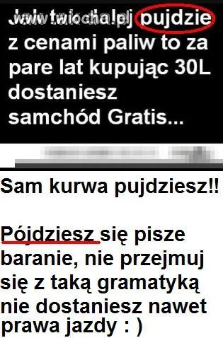 Polskie dzieci w internecie...