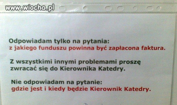Kierownik katedry
