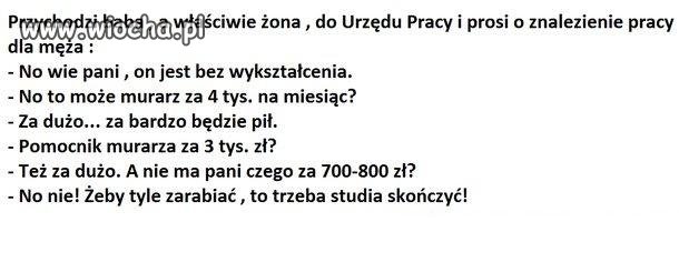 Studia