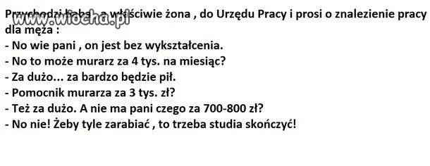 Studia