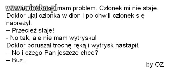 ,,Holenderska" służba zdrowia