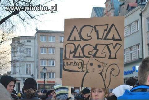 ACTA paczy