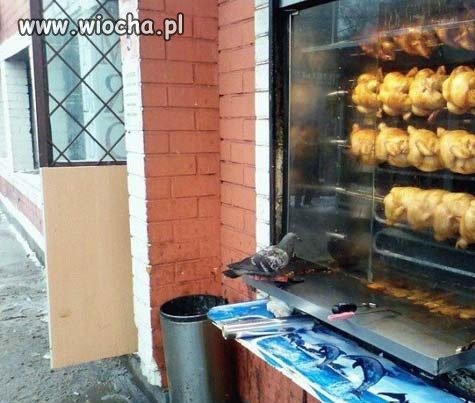 Kolejka do solarium