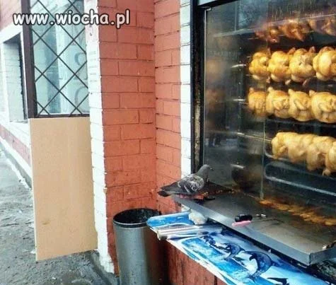 Kolejka do solarium