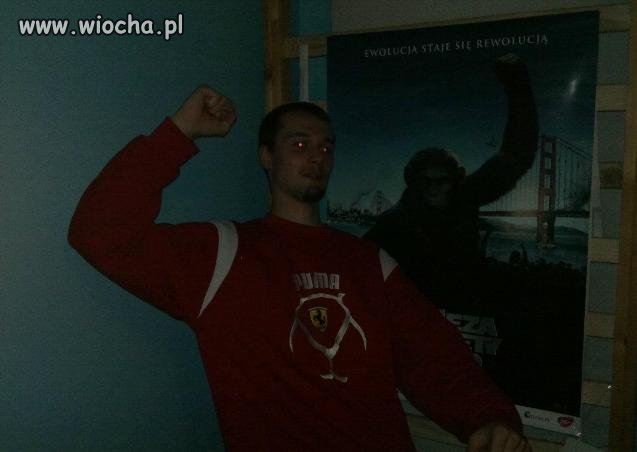 Co za podobieństwo