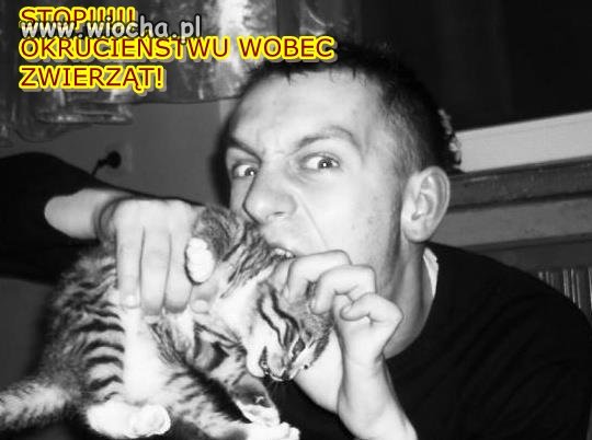 Nie pozwólmy krzywdzić ludziom zwierzęta