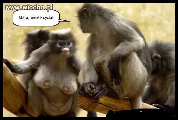 Hahahahahaha
