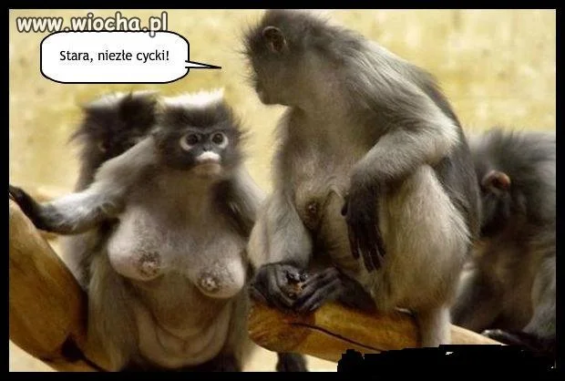 Hahahahahaha