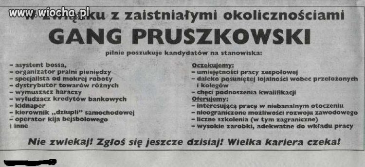 Oferta pracy