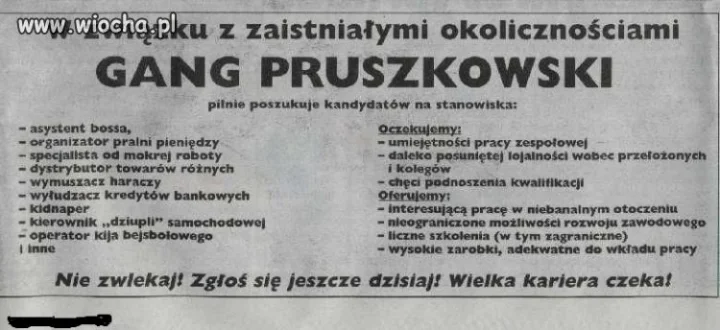 Oferta pracy
