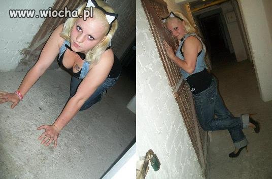 Sexi kocica w