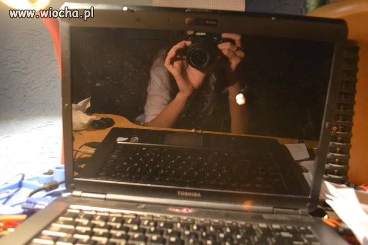 Sweet focia w laptopie z masłem na ekranie