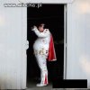 Elvis żyje 