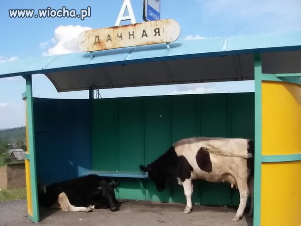 Gdzieś w Rosji...