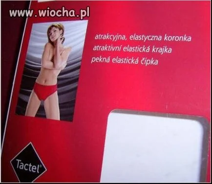 Czeski język