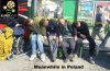 Tak nas widzą Anglicy