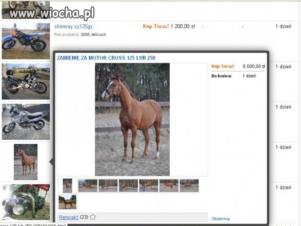 Zamienię konia za motor