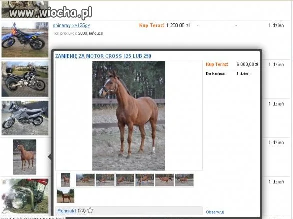 Zamienię konia za motor